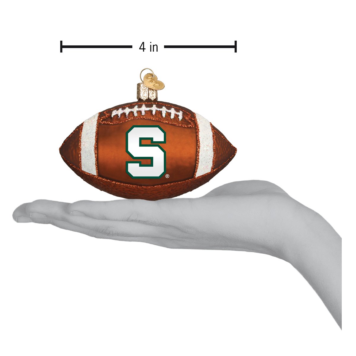 Michigan State Football
